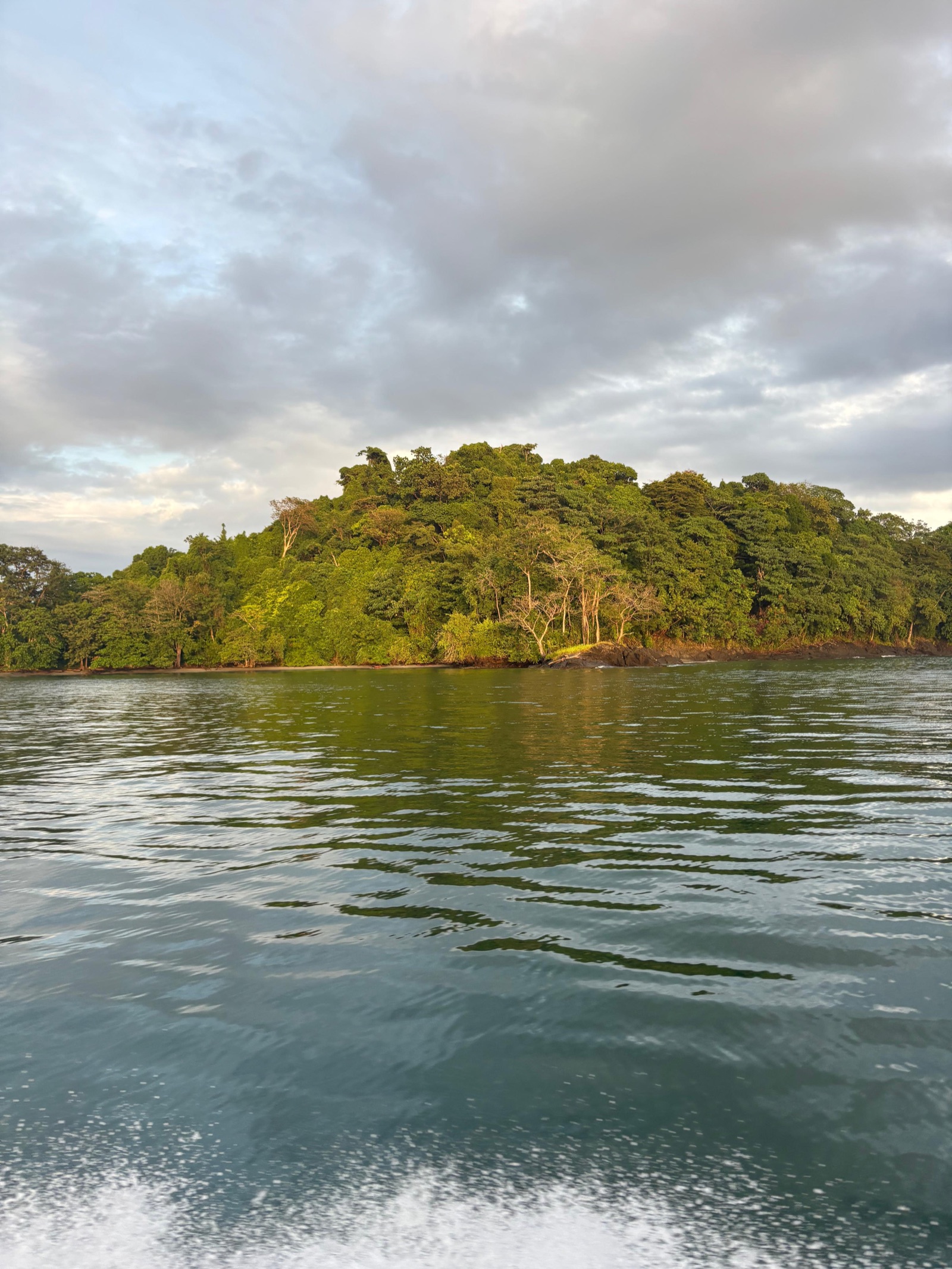 Tour Bahías