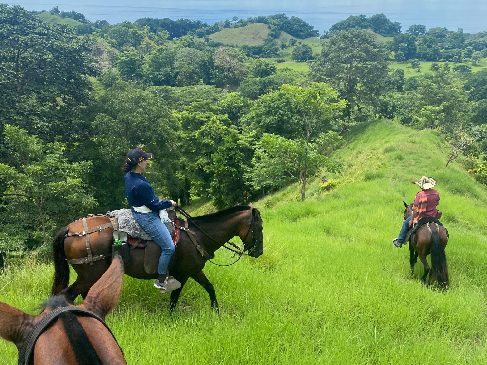 Cabalgata Mareselva