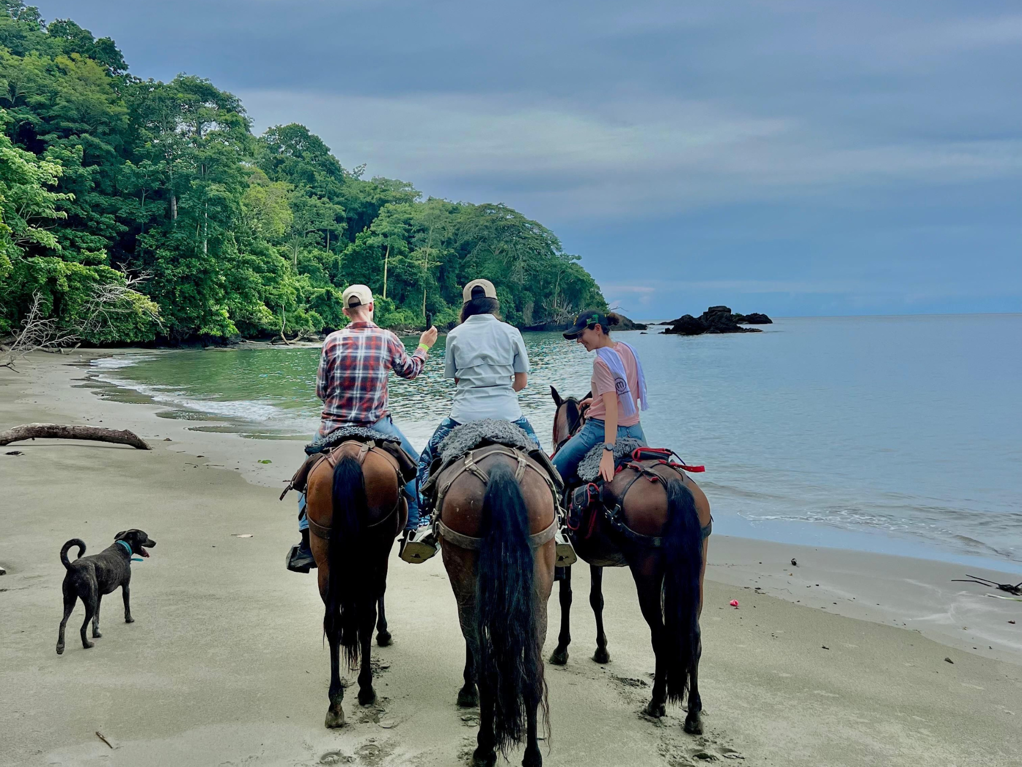 Cabalgata Mareselva