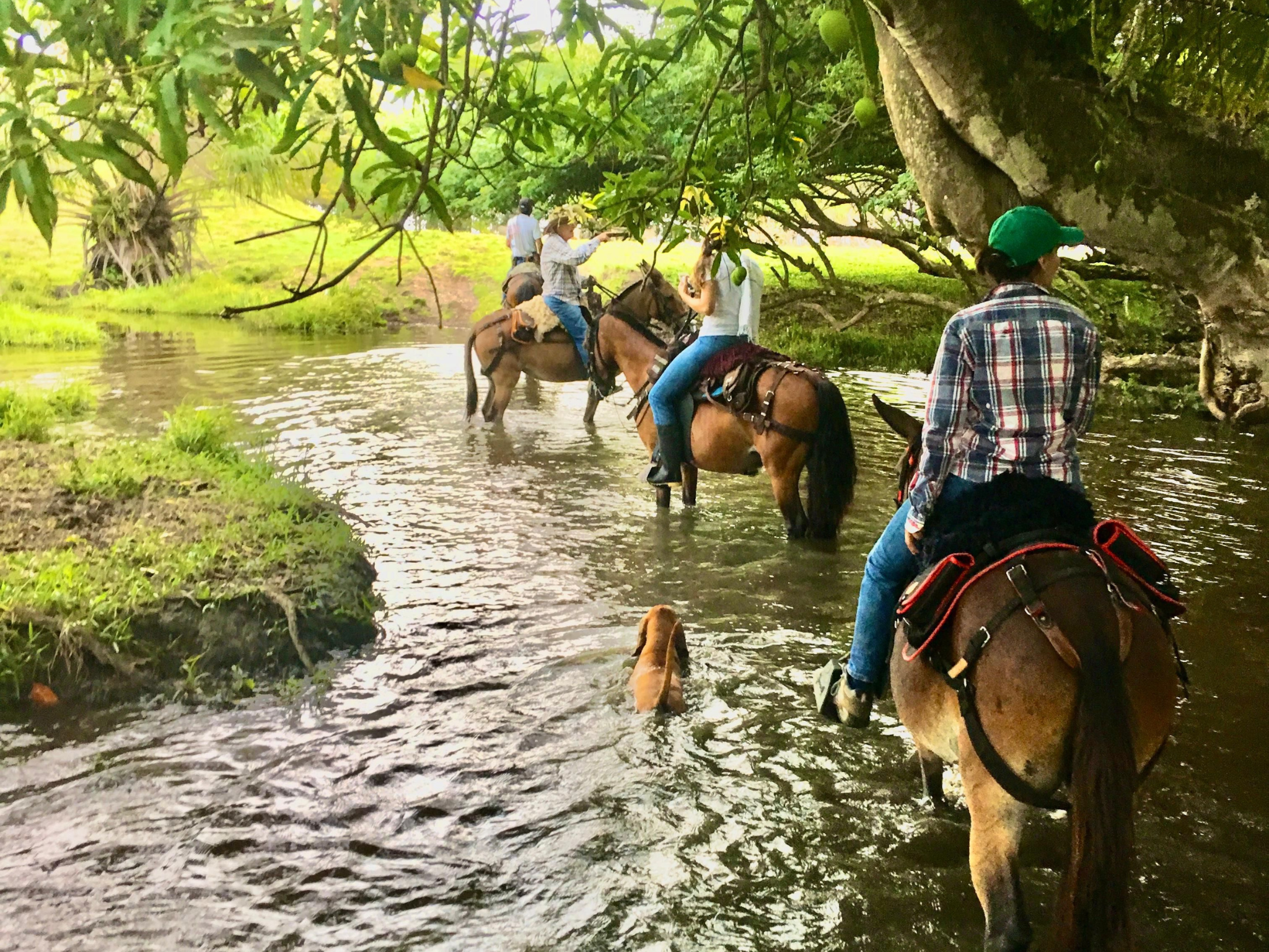 Cabalgata Mareselva