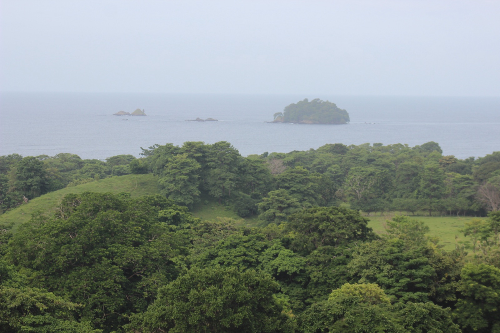 Naturaleza Mareselva