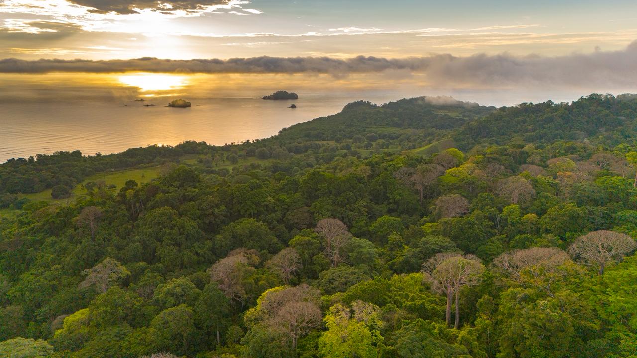 Naturaleza Mareselva