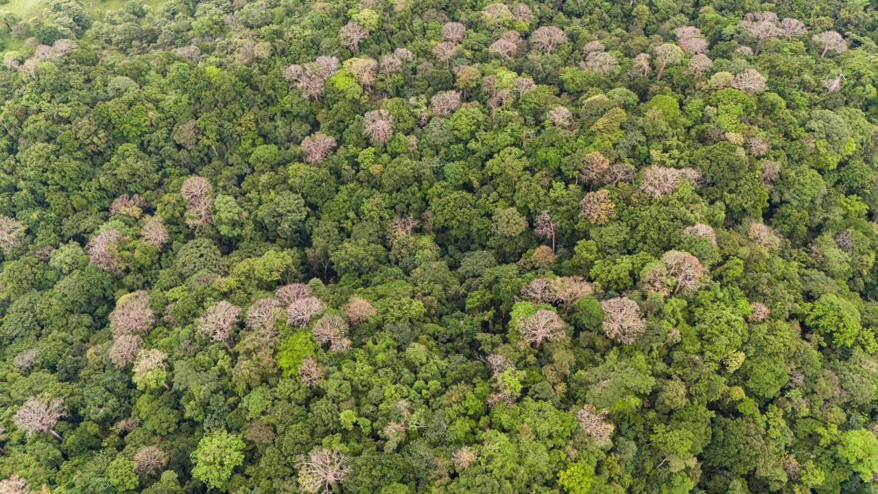 Naturaleza Mareselva