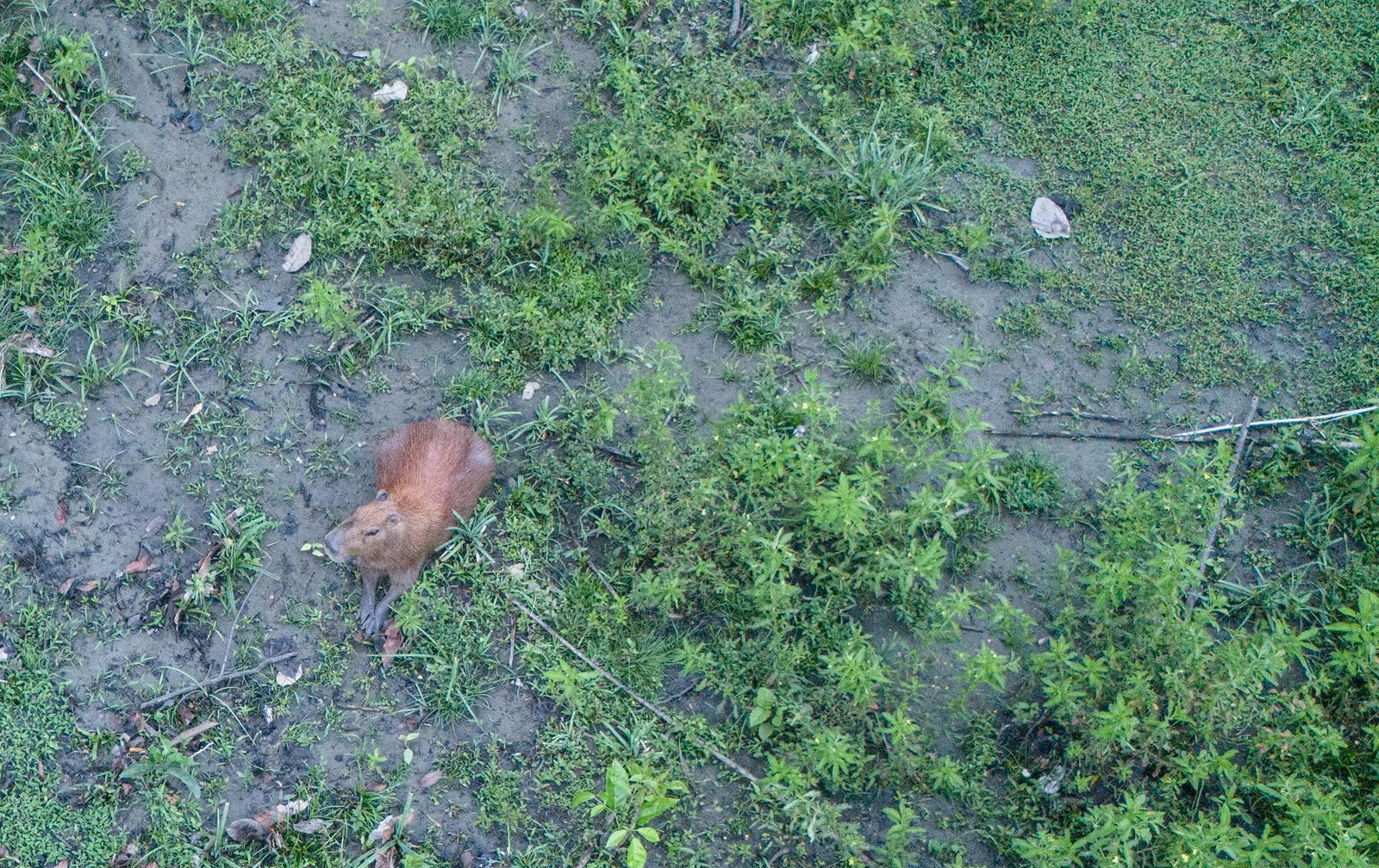 Naturaleza Mareselva