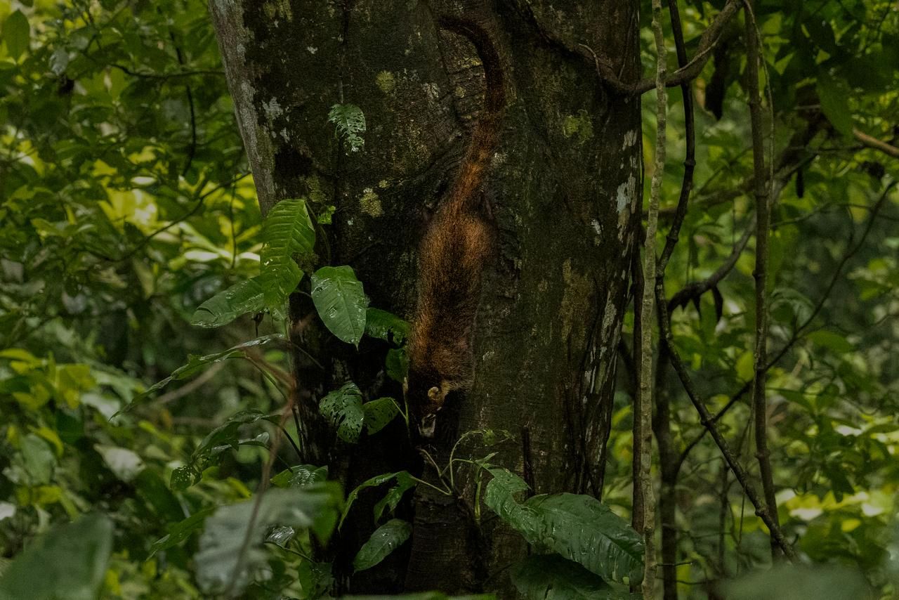 Naturaleza Mareselva