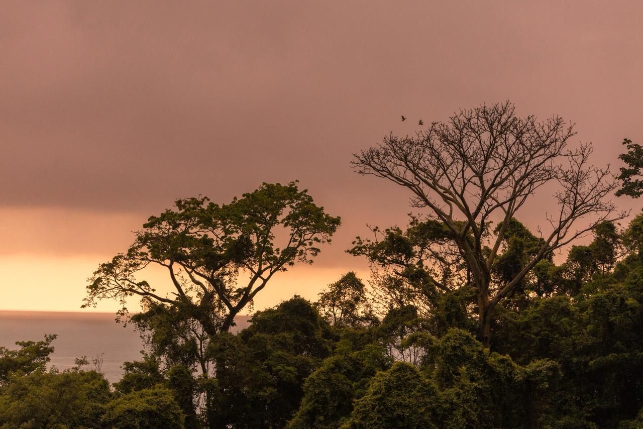 Naturaleza Mareselva