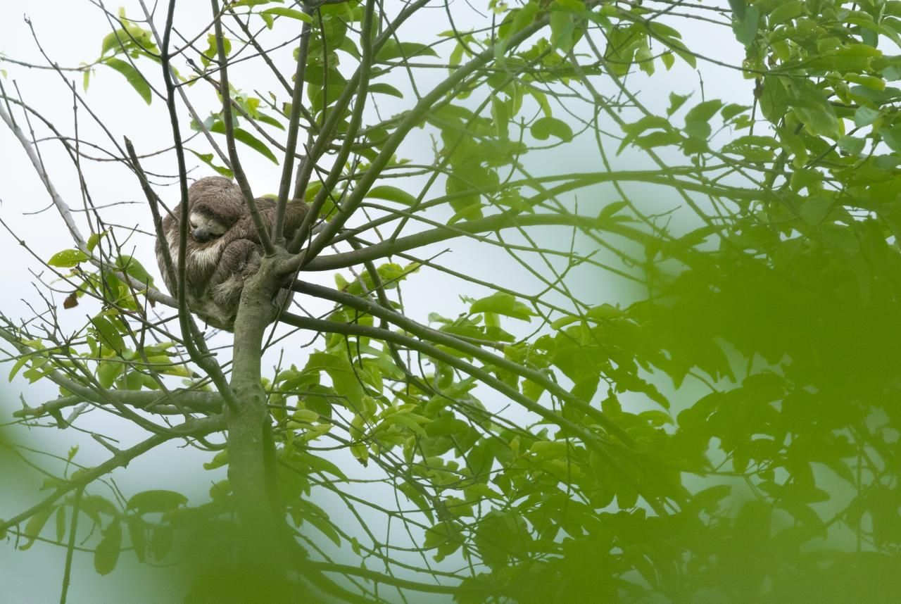 Naturaleza Mareselva
