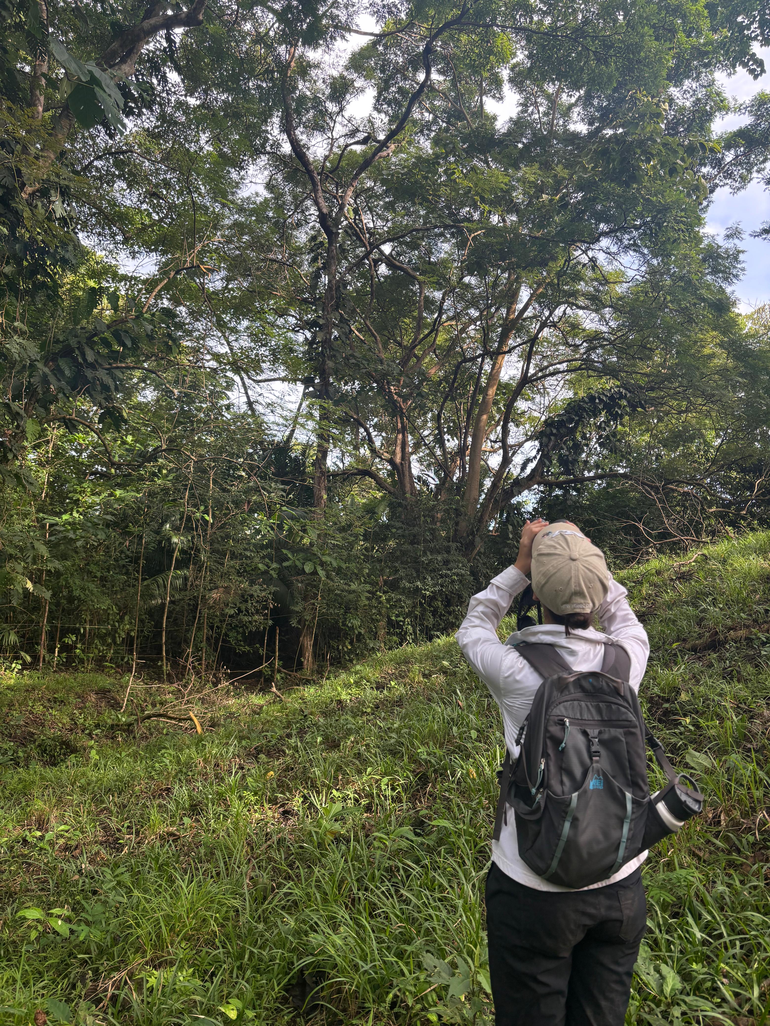 Avistamiento de fauna